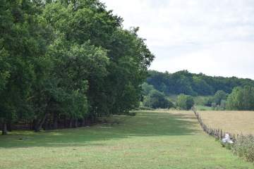 Les vaches de notre ferme laitière à Lauzerte