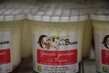 Vente directe de yaourts Dairy Brune
