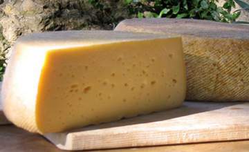 Tomme de vaches brunes